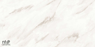 Керамогранит NT Ceramic Marmo Empire Pearl Endless Glossy арт. NTT99525P (60x120) полированная